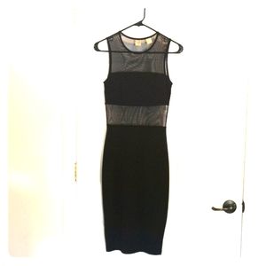 Bodycon mesh dress